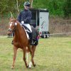Reitertag 2026 April